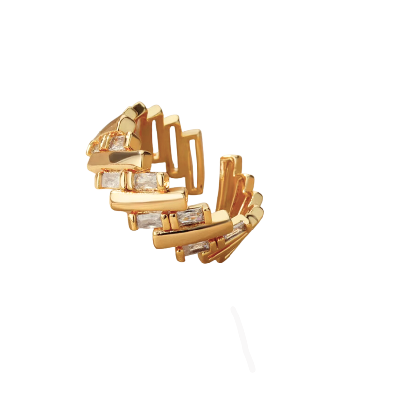 Anillo Vik